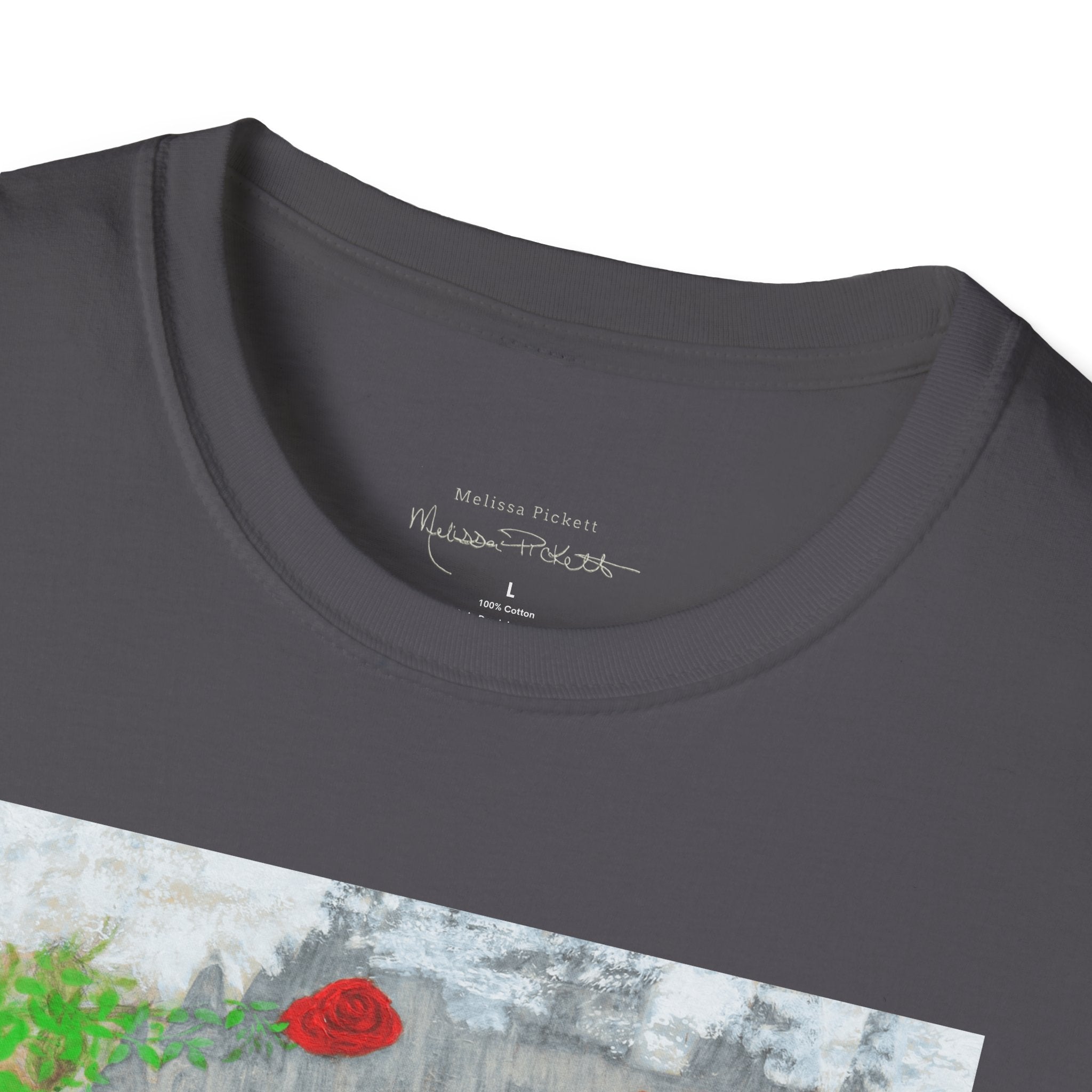 The Secret | Unisex Softstyle T-Shirt