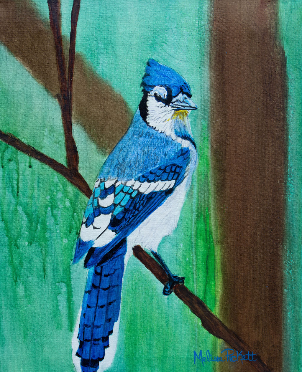 Bluejay