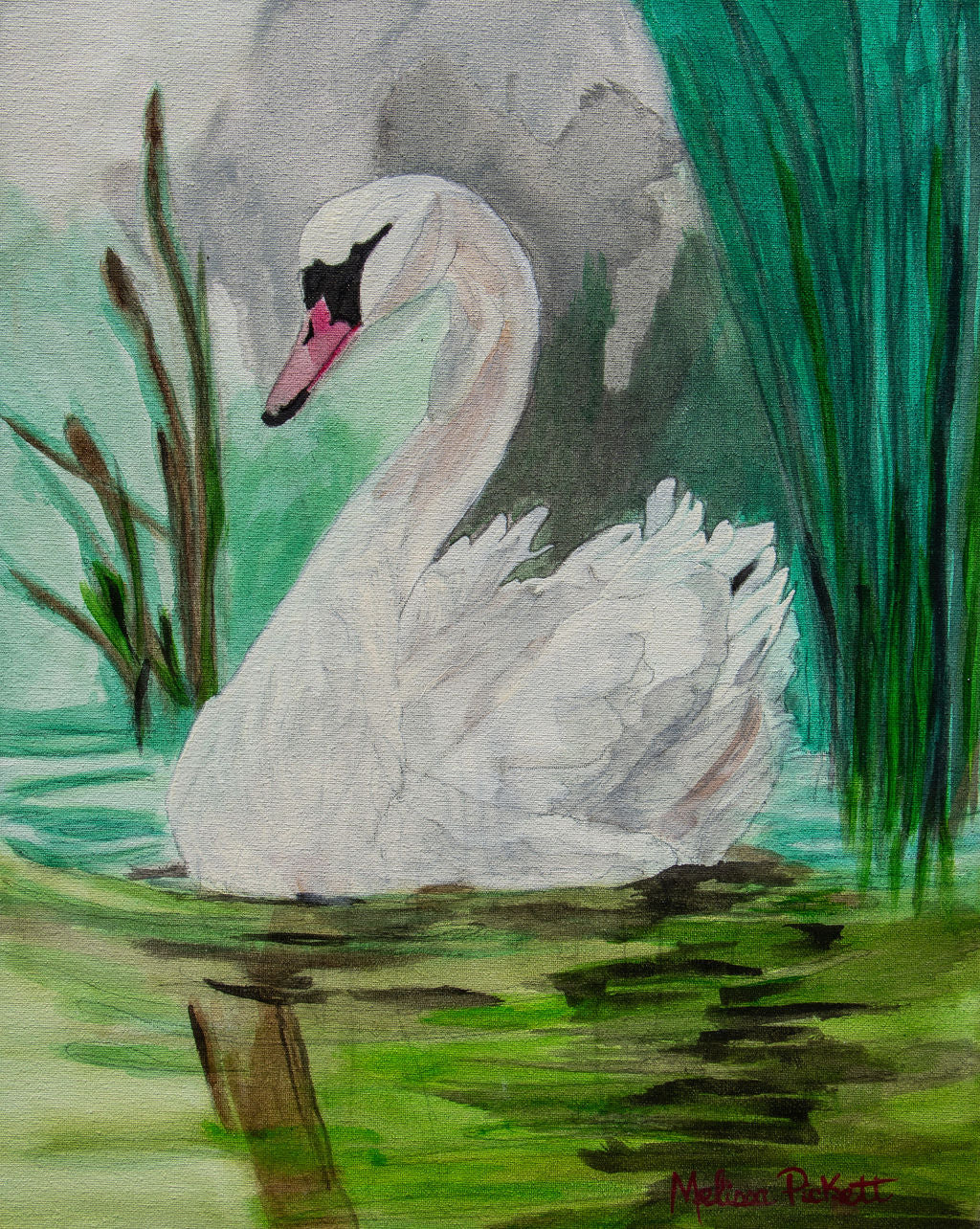 Swan