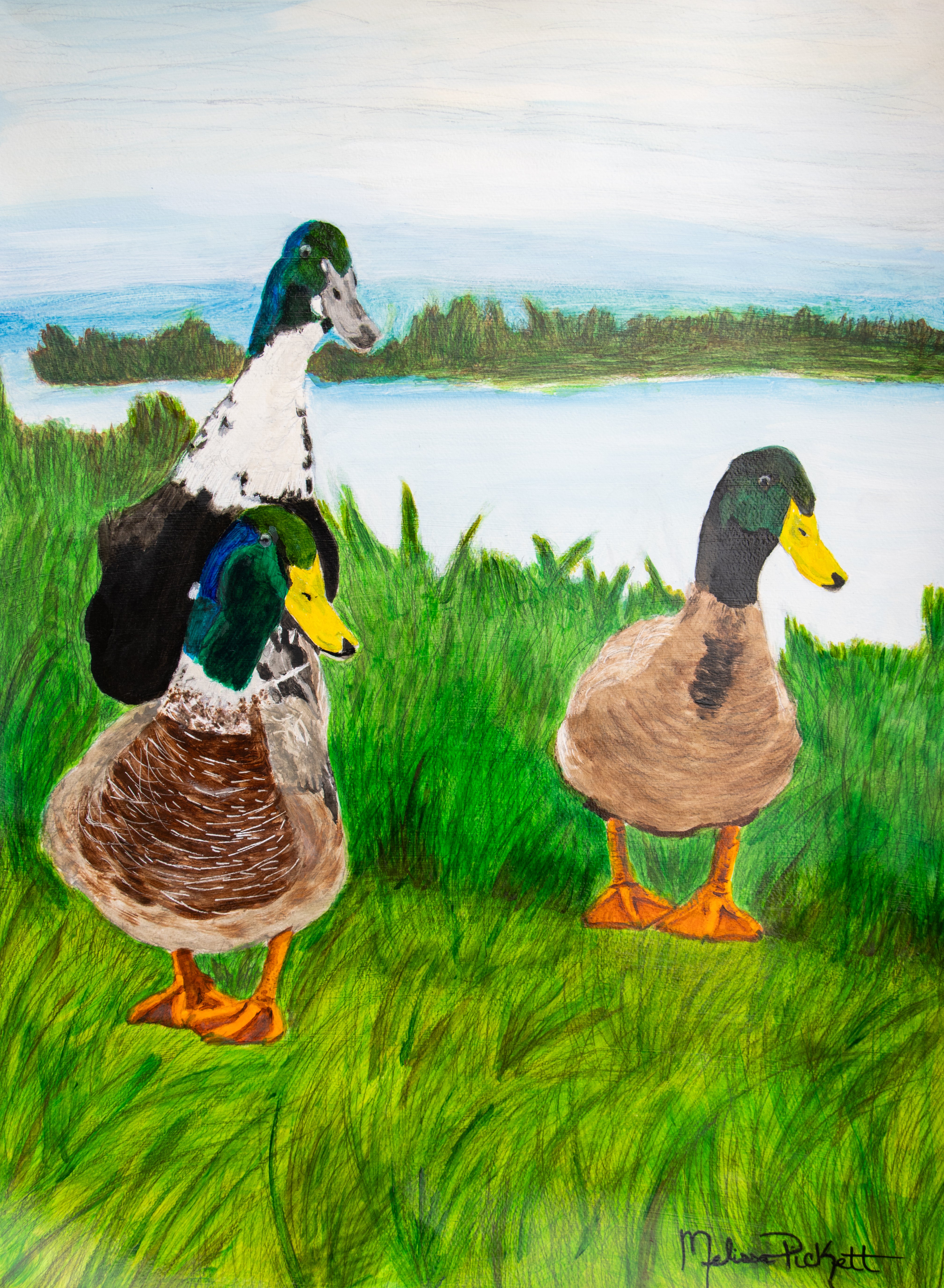 Three Ducks