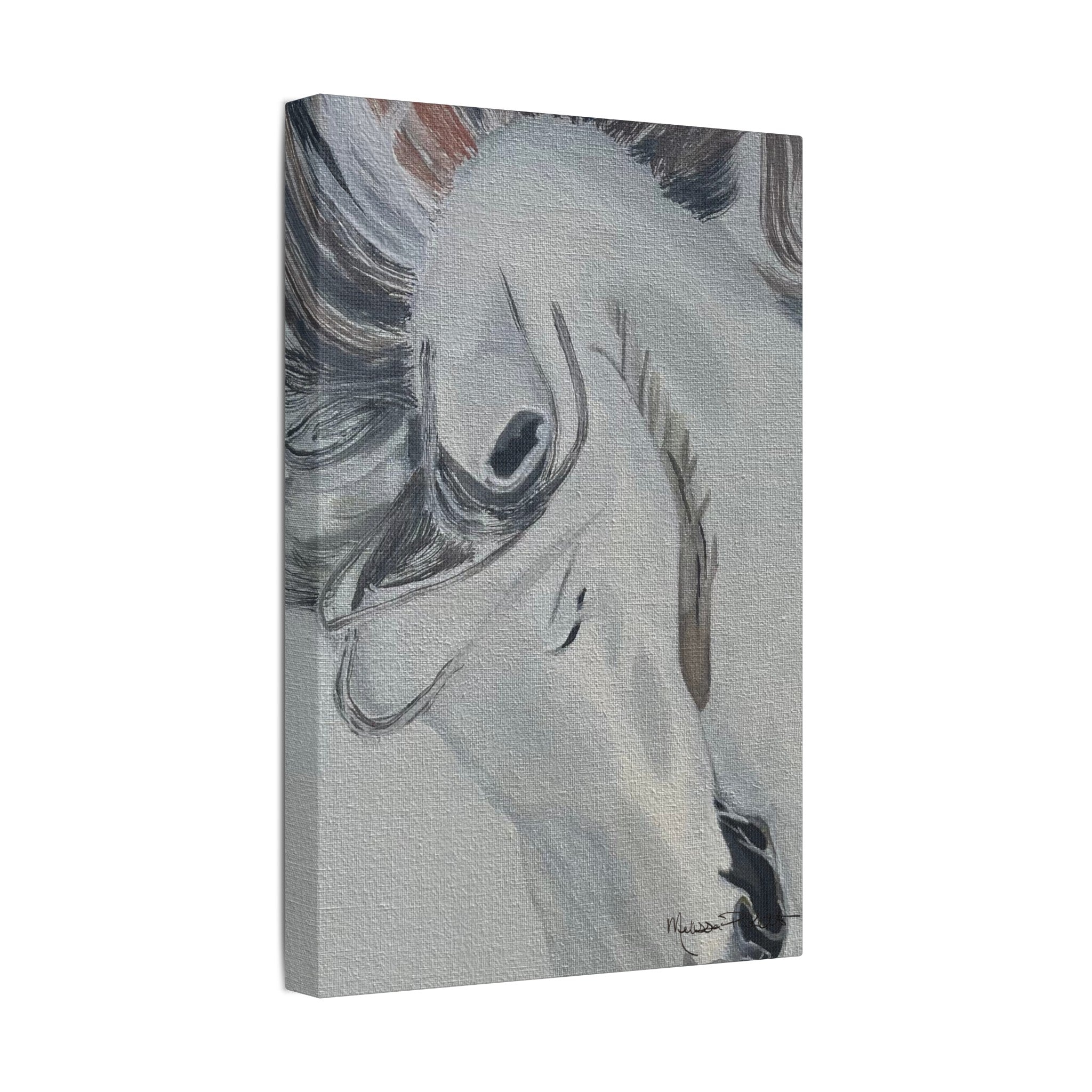 White Horse | Satin Canvas, Stretched