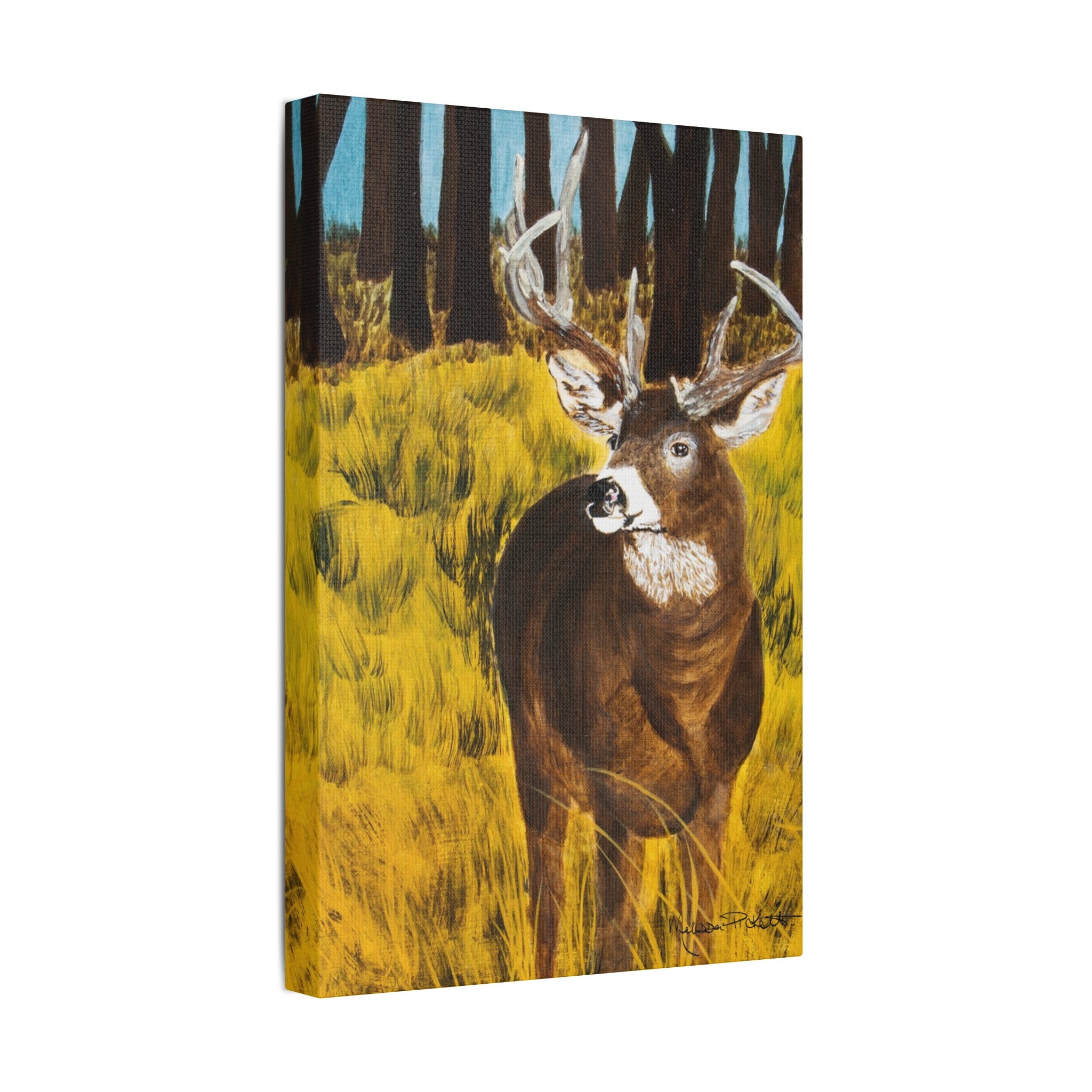 Deer in Clearing | Satin Canvas, Stretched