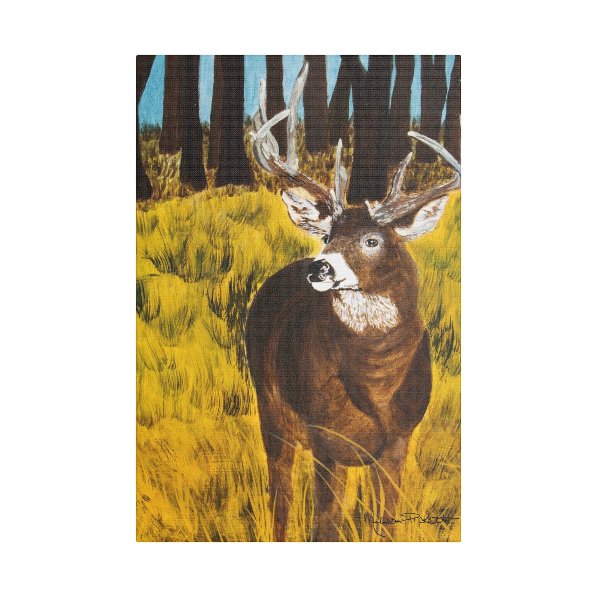 Deer in Clearing | Satin Canvas, Stretched