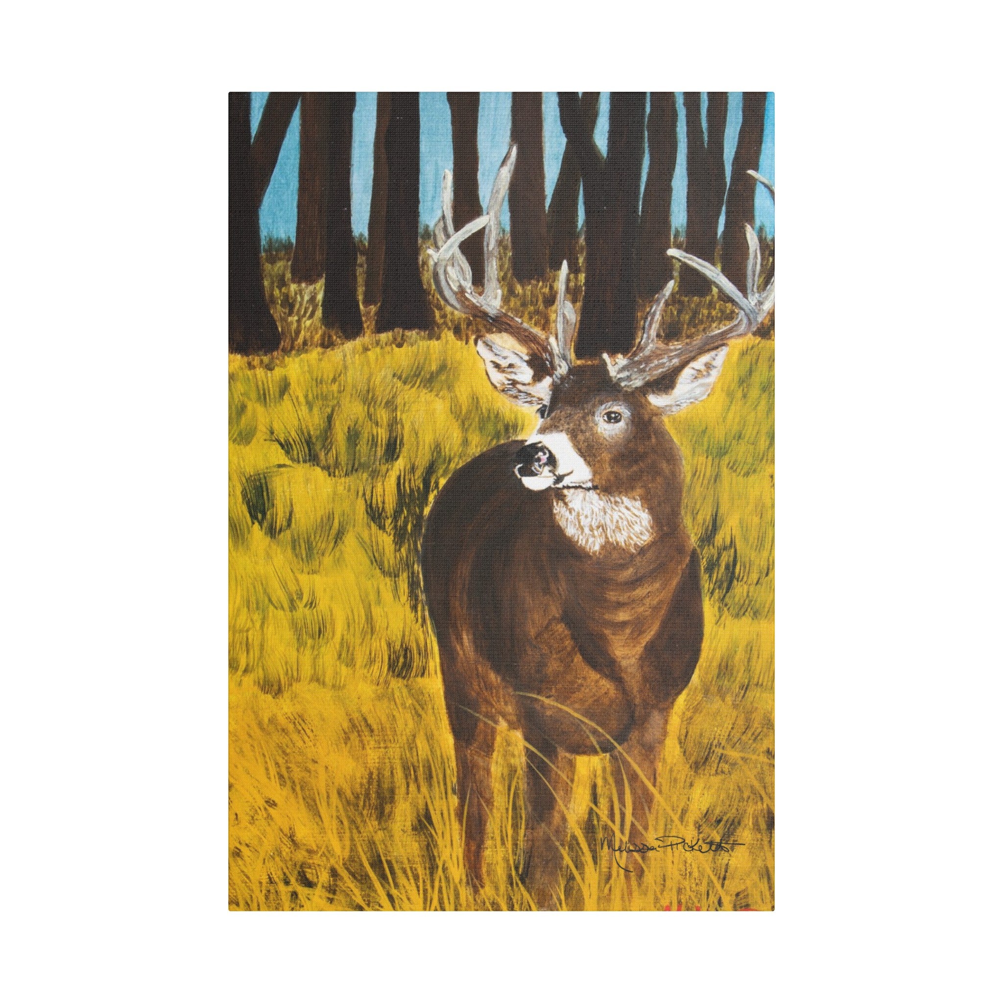 Deer in Clearing | Satin Canvas, Stretched